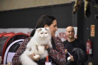 /album/fotogaleria-exposiciones3/a12794616-10208956205201836-2163837296347932013-n-1-jpg/